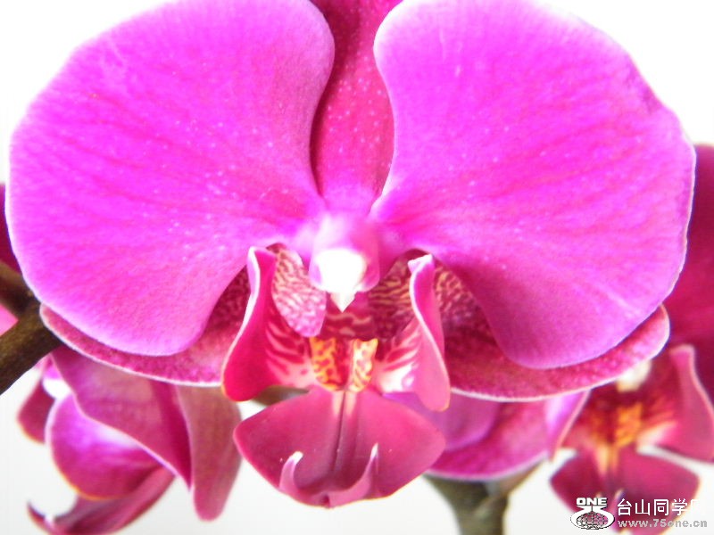 DSCF4119.JPG