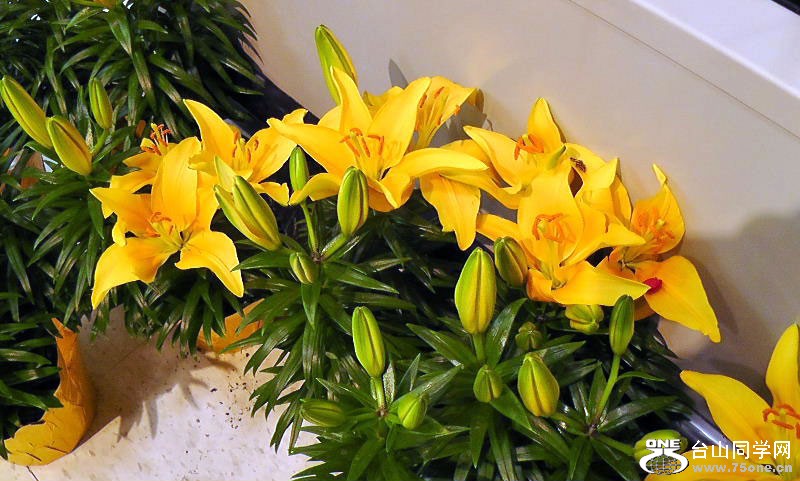 H1330002=.jpg