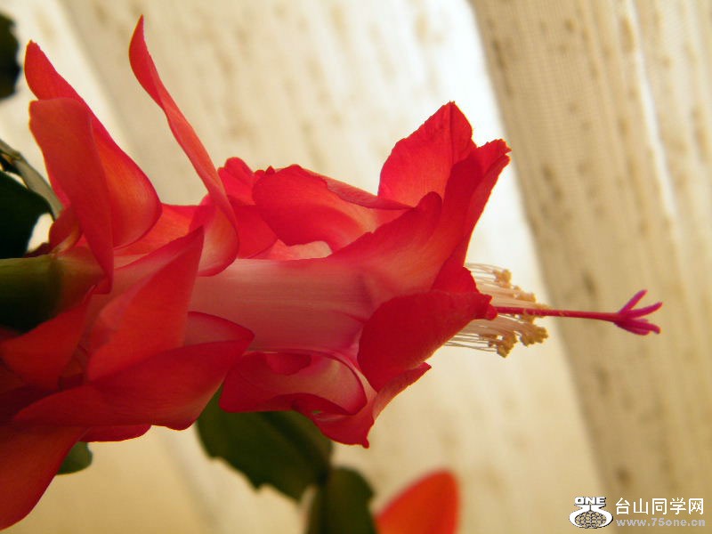 DSCF3825.JPG