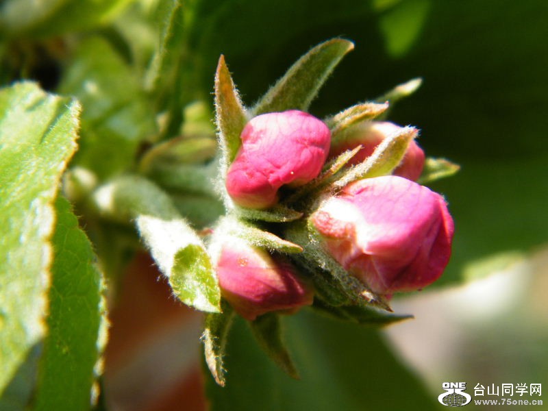DSCF4122.JPG
