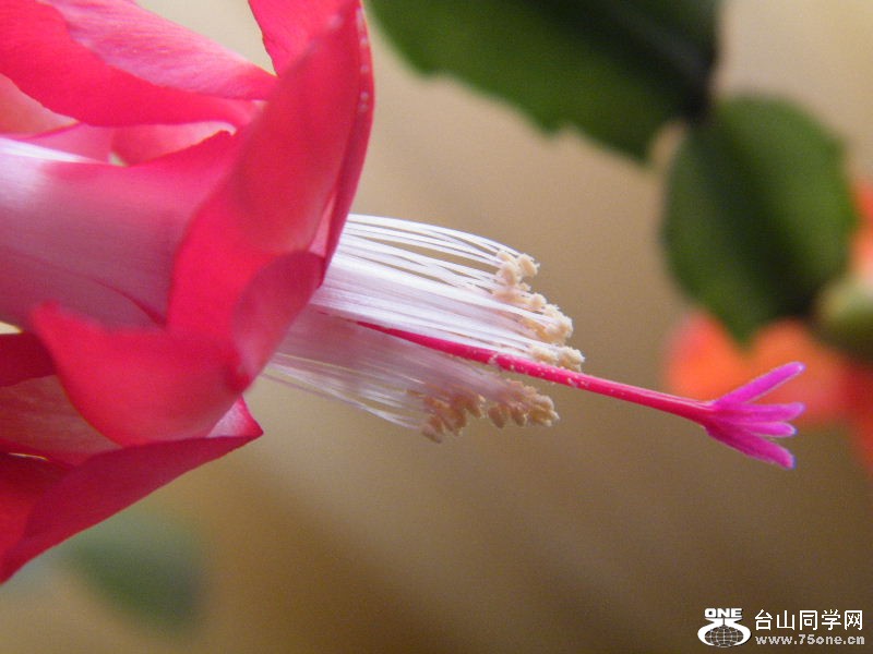 DSCF3828.JPG