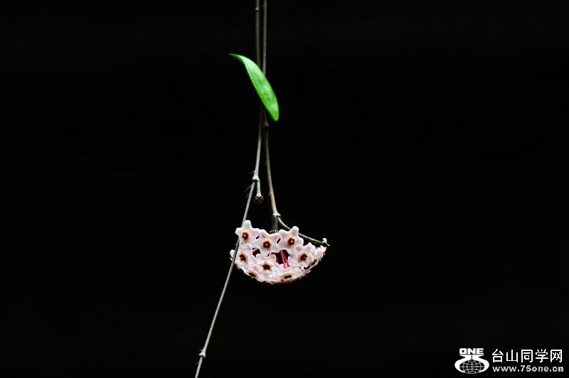DSC_5189.JPG