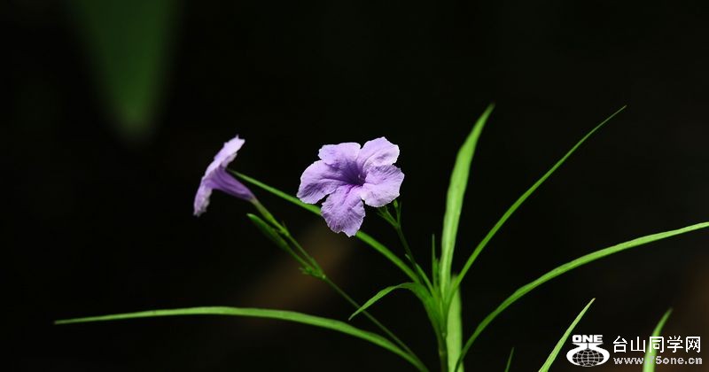 DSC_5902.JPG