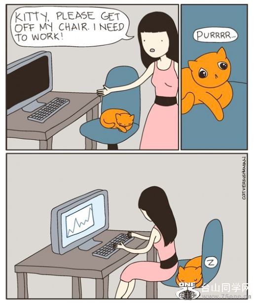 h1.jpg