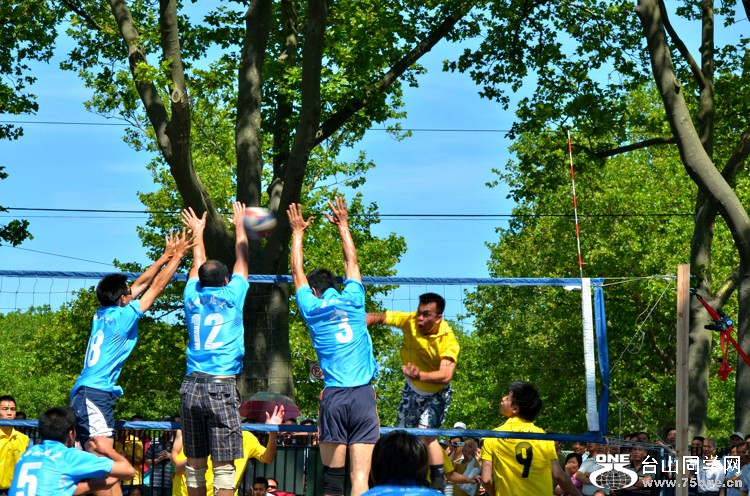 DSC_7558.jpg