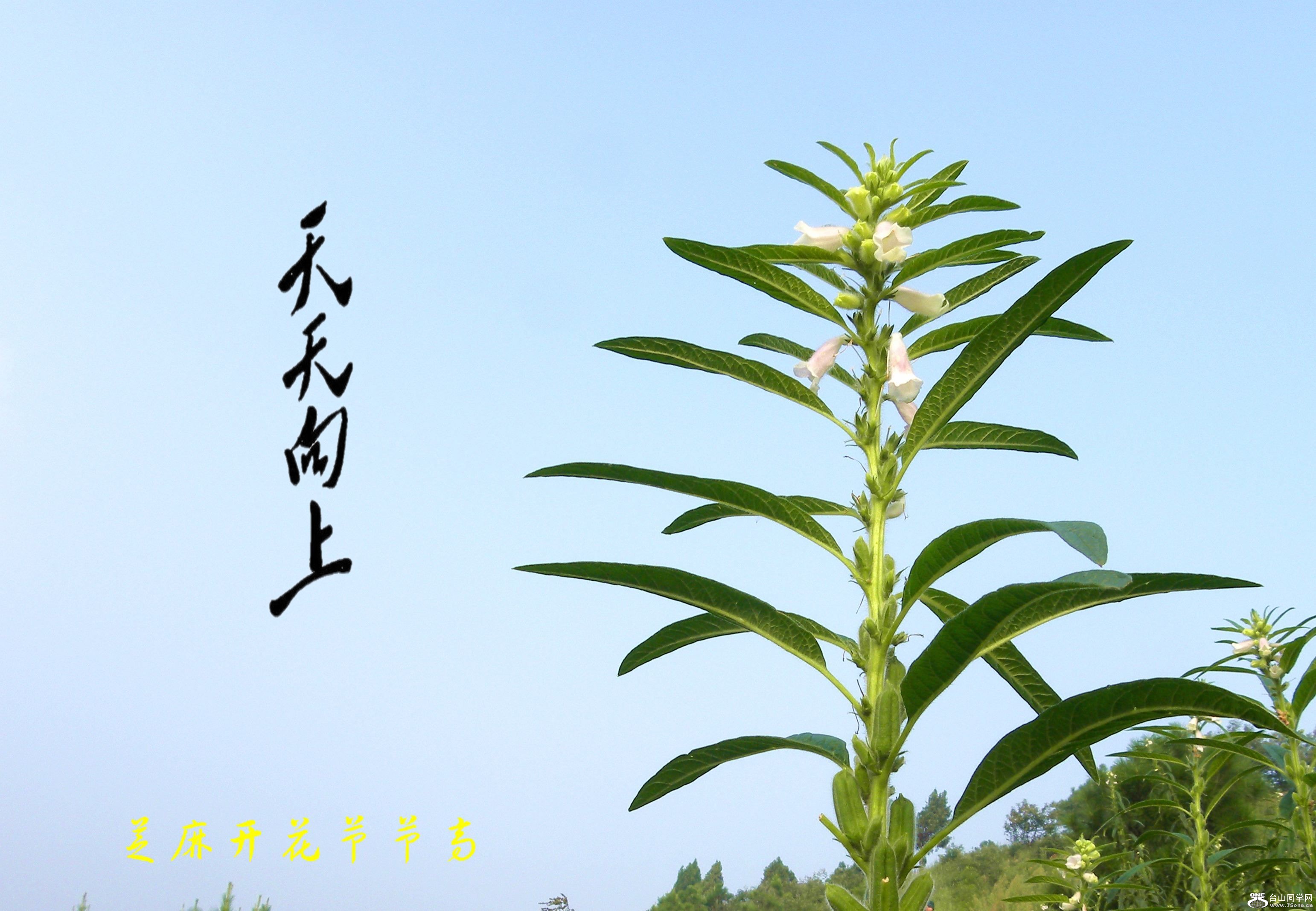 330_201107010734411ZccG_conew3.jpg