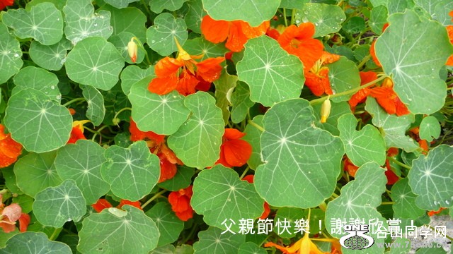 P1210674-001.JPG