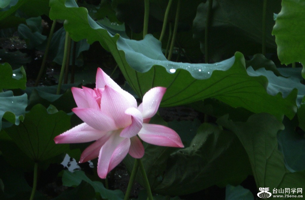 DSC05582.jpg