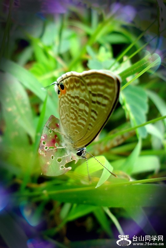 psbCA105E6I.jpg
