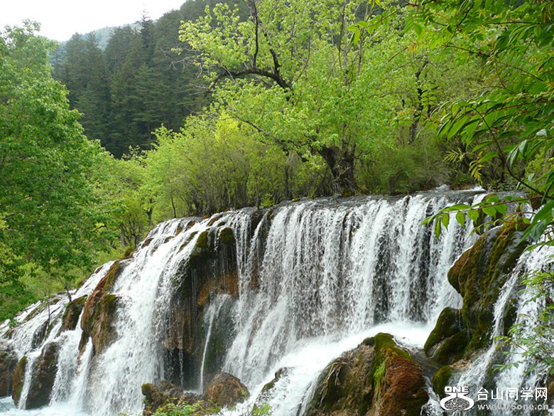 p1010051_.jpg