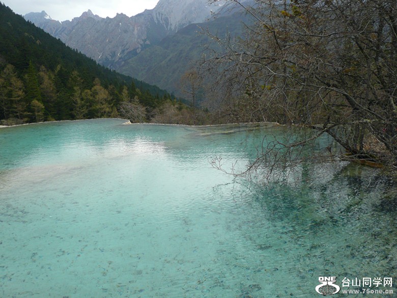 p1010033__.jpg