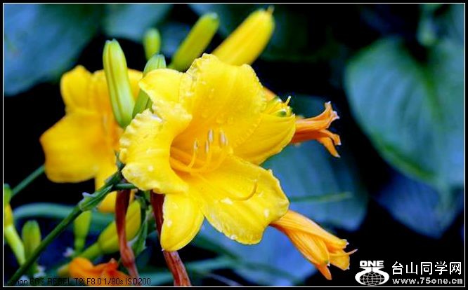 ������С IMG_4961.JPG