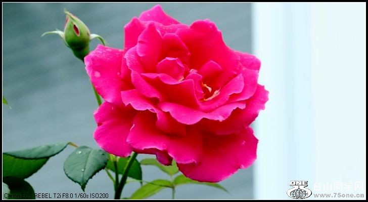 ������С IMG_4958.JPG