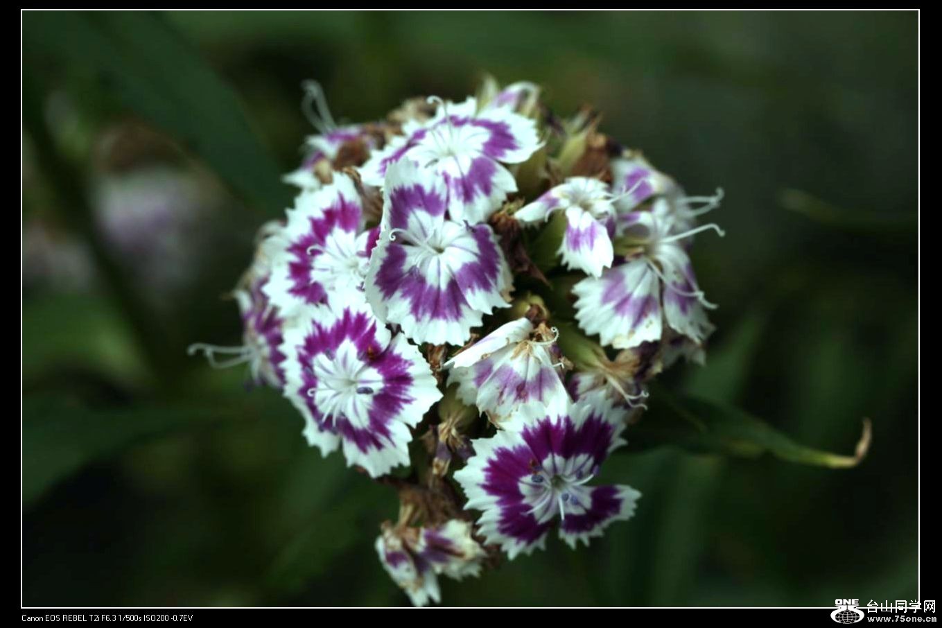 ������С IMG_6536.JPG