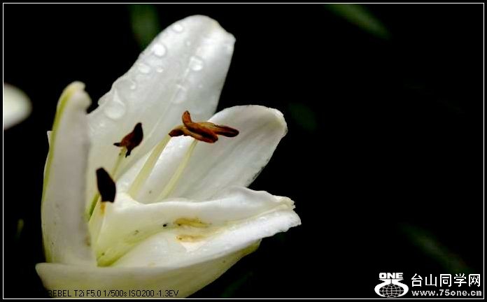 ������С IMG_4942.JPG