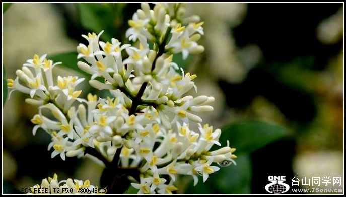 ������С IMG_4934.JPG