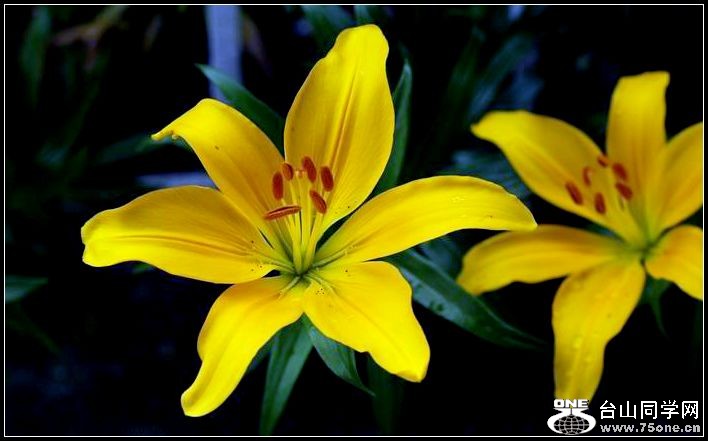 ������С IMG_4944.JPG