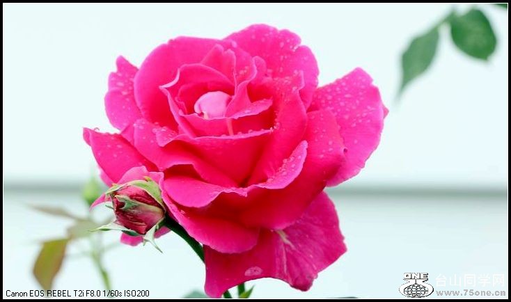 ������С IMG_4957.JPG