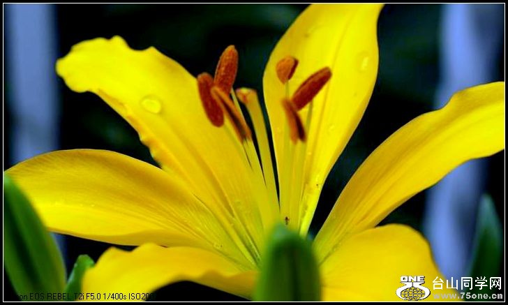 ������С IMG_4943.JPG