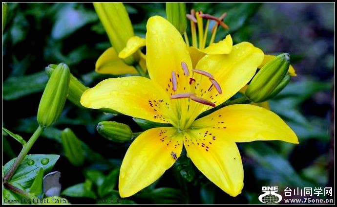 ������С IMG_4929.JPG