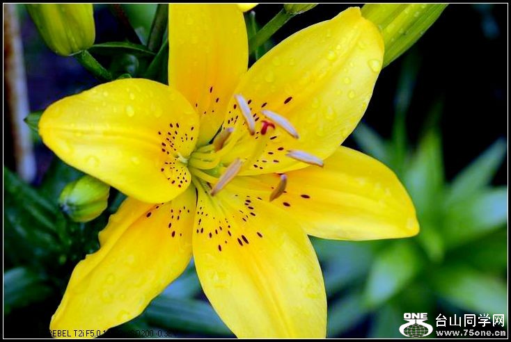 ������С IMG_4928.JPG