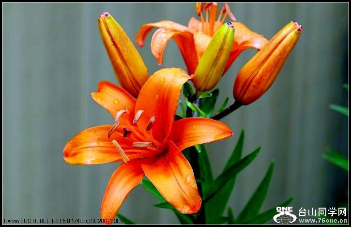 ������С IMG_4948.JPG