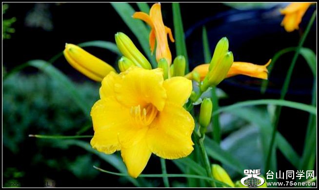 ������С IMG_4959.JPG