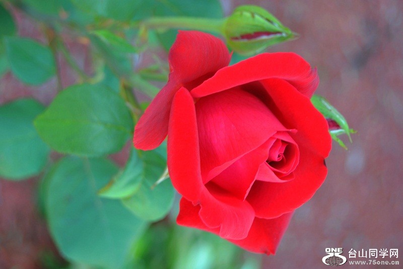 DSC_3454.JPG