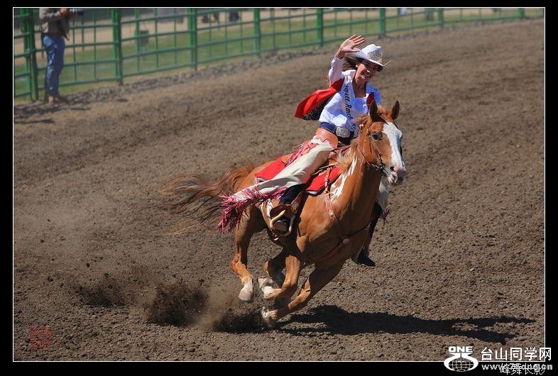 189_2580_995d983e101af42[1].jpg