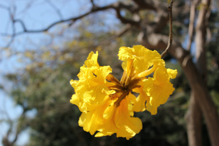 2012_03200329.JPG