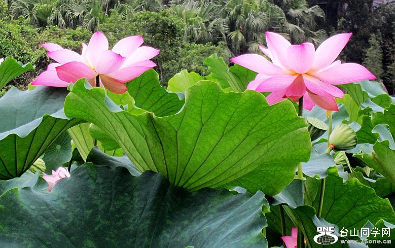 ���ġ��ɻ���ѧУ�����12.6.9 140_conew1.jpg