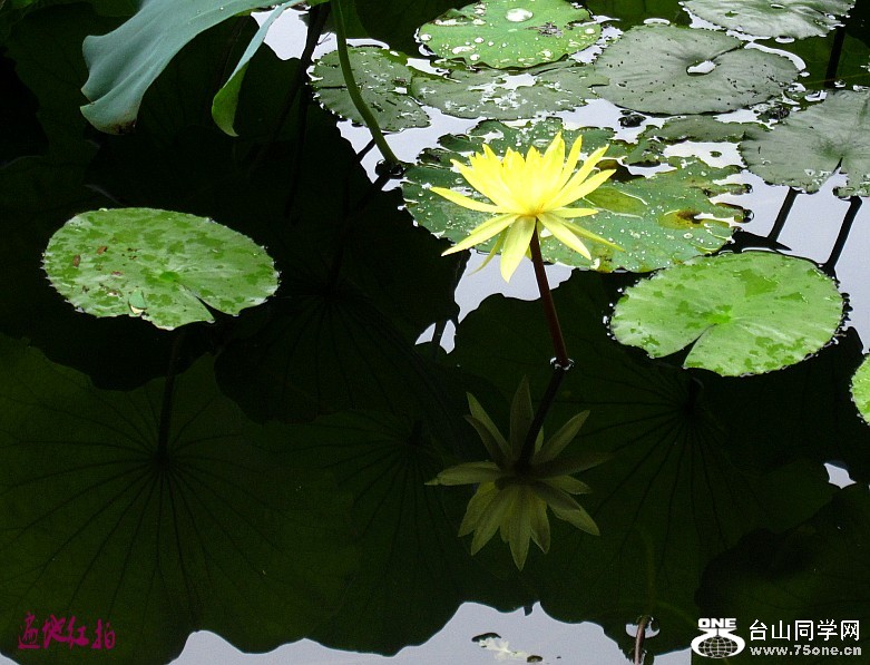 12616 021_conew1.jpg