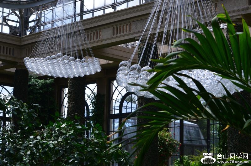 6-24-2012 Longwood 312.jpg