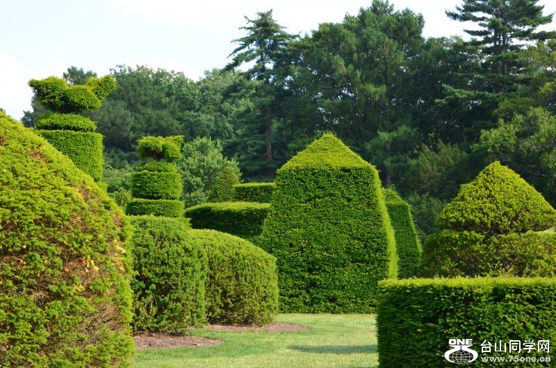 6-24-2012 Longwood 560.jpg