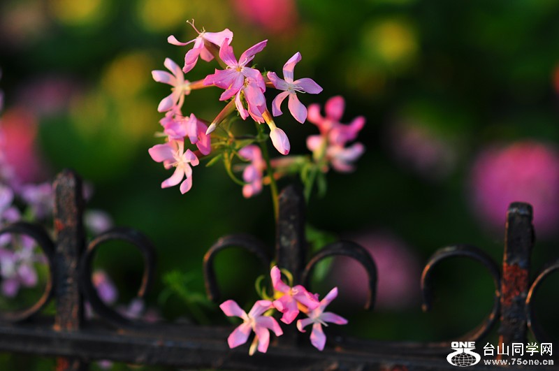DSC_0131_.jpg