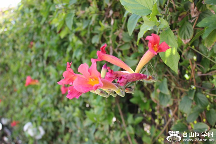 2012_04050076.JPG