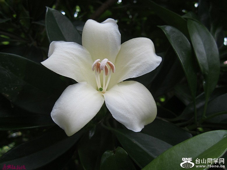 ɻʯ᪡ʨ 029_conew1.jpg