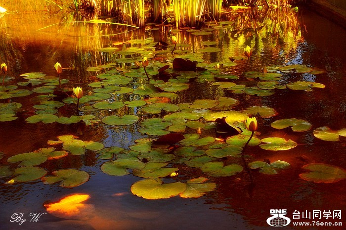 DSC_6763_conew1_.jpg