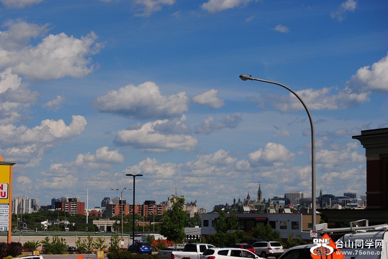 DSC_2950.JPG