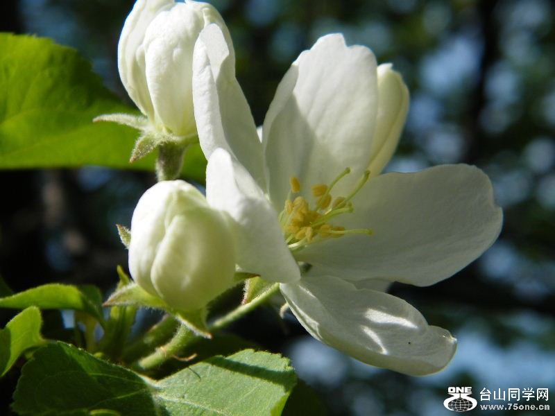 DSCF4154.JPG