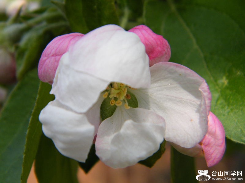 DSCF4158.JPG