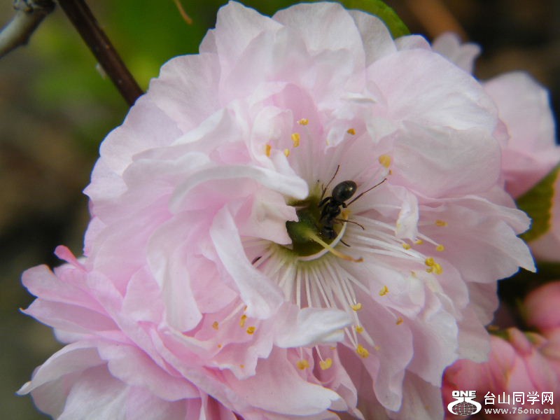 DSCF4166.JPG