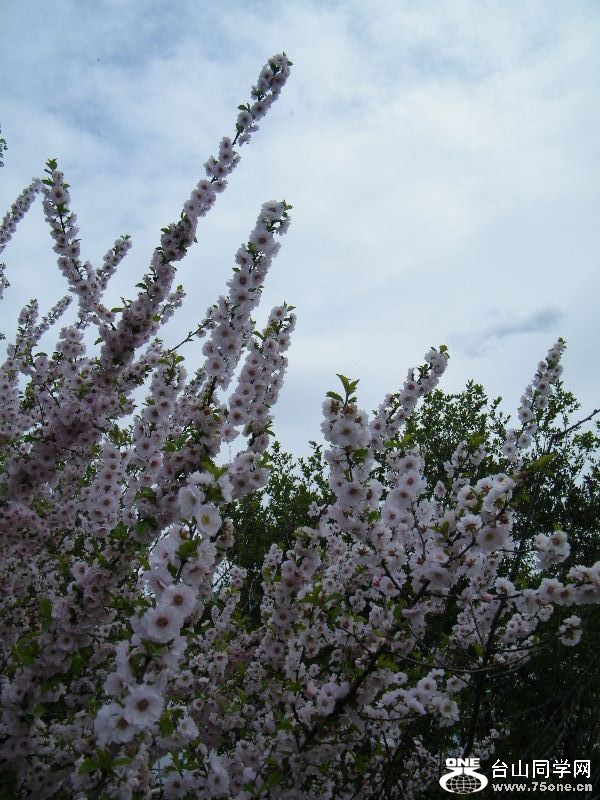 DSCF4570.JPG