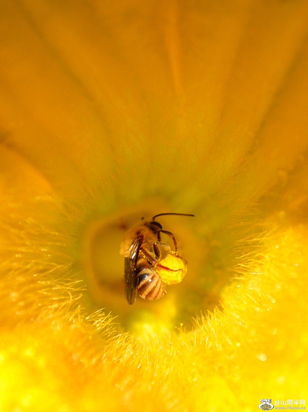 103_6254_4d903c2dd3b35f0.jpg