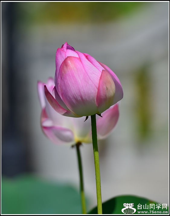 DSC_0315.jpg