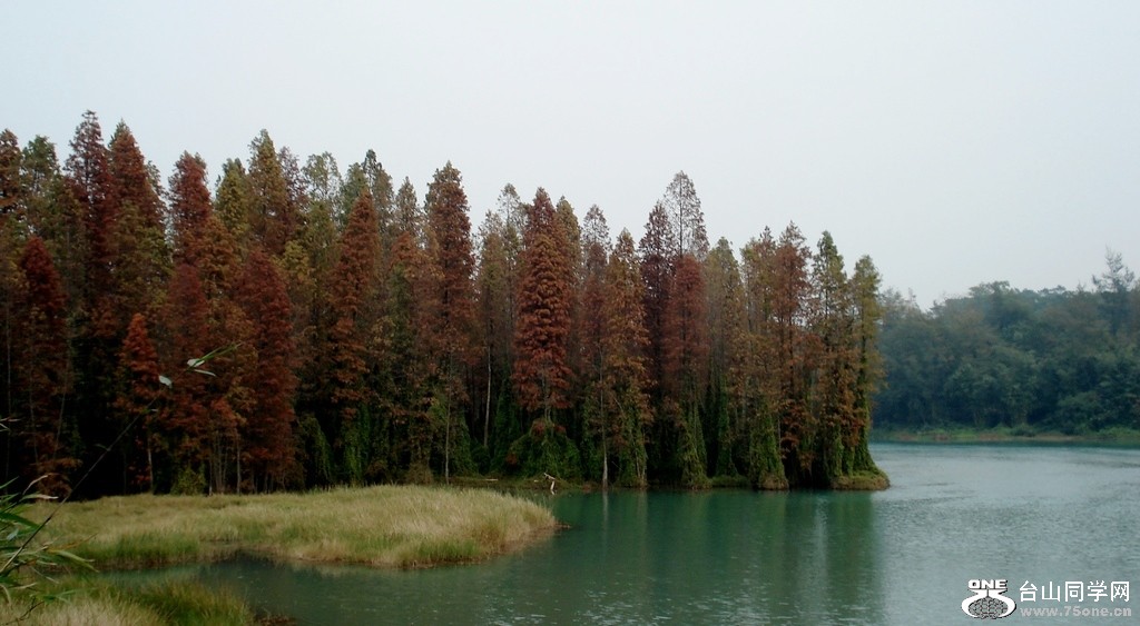 DSC05558.jpg