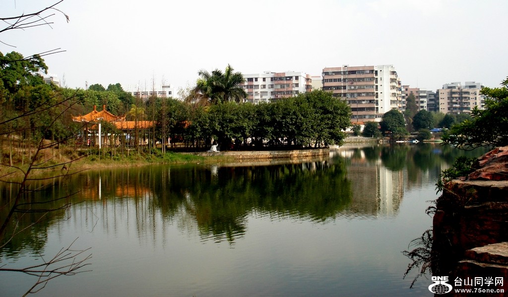 DSC05690.jpg