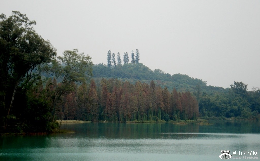 DSC05555.jpg
