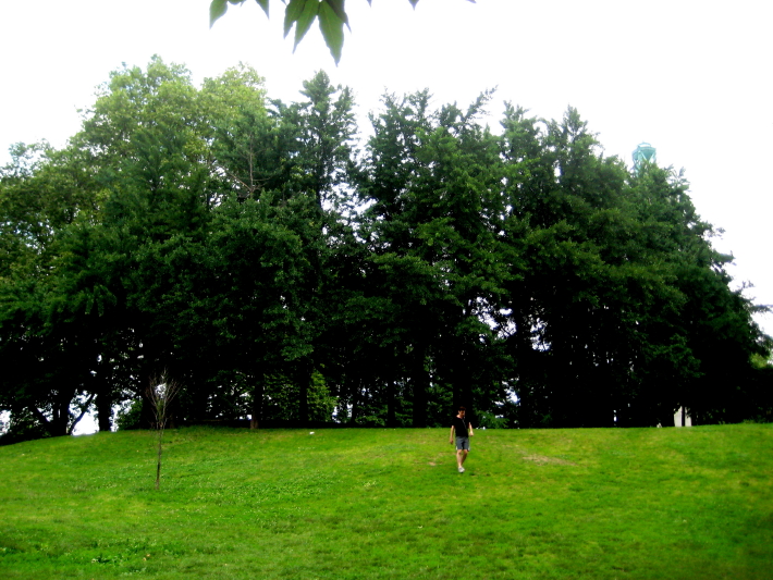 IMG_0001_773.jpg