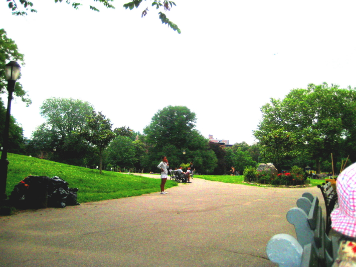 IMG_0001_768.jpg